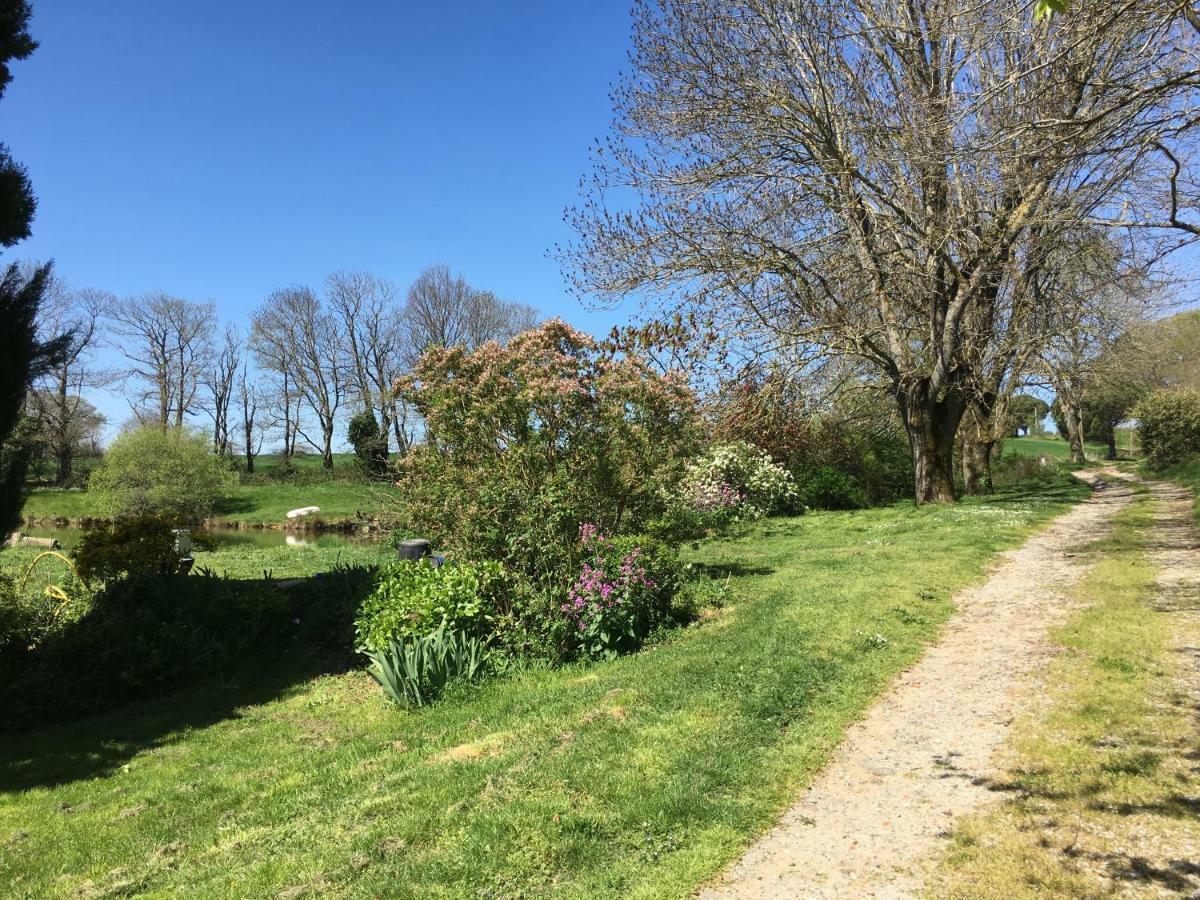 L'Enquenouille Basse Pensionat Verdun-en-Lauragais Eksteriør billede